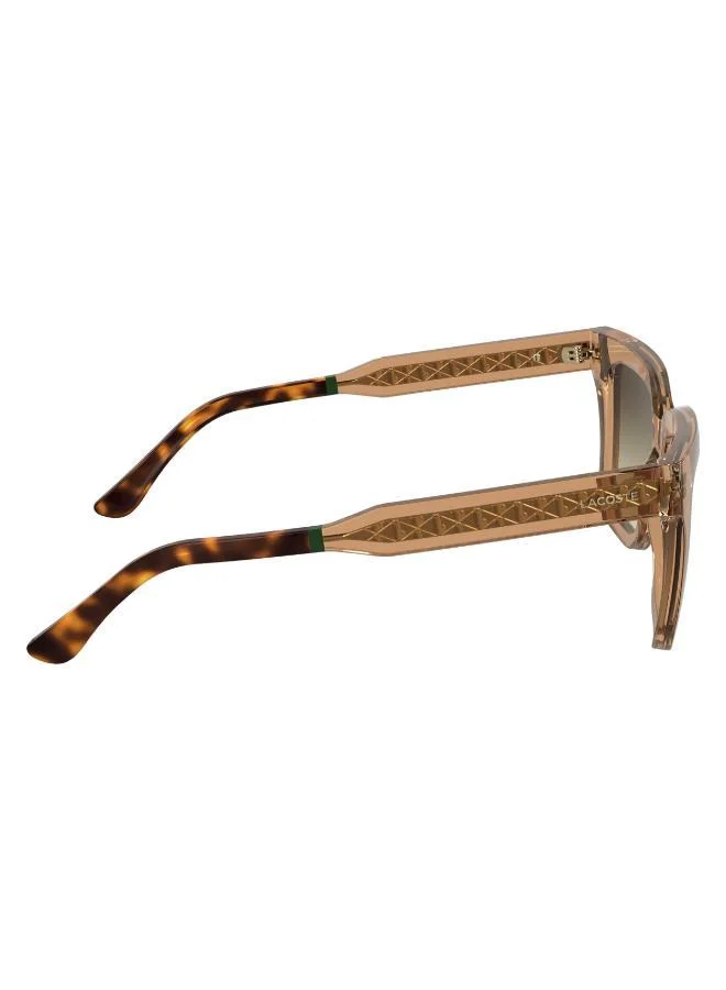 LACOSTE Modified Rectangle Sunglasses