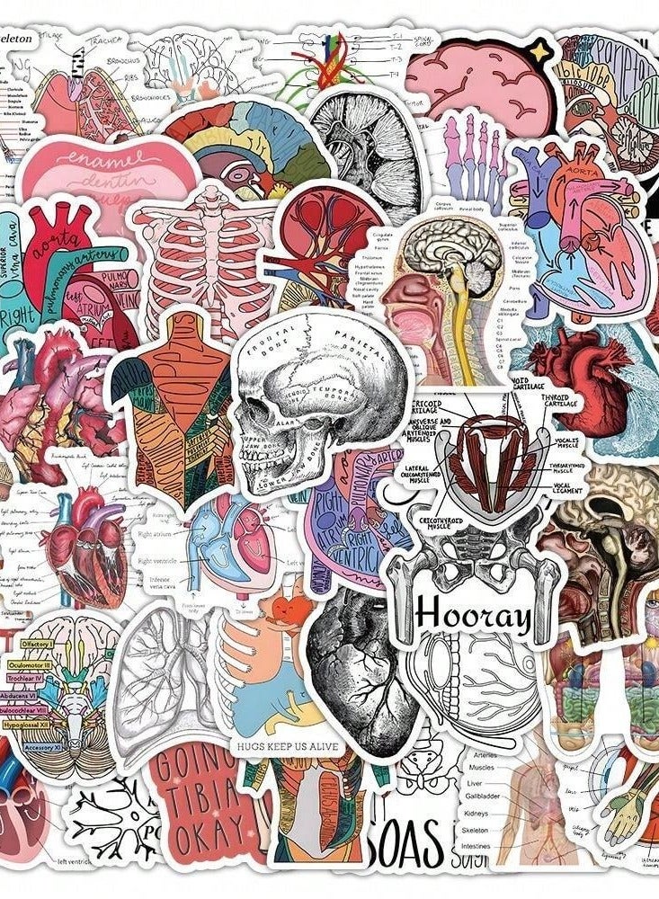 Anatomical Educational Sticker Pack - 50 Unique Designs for Medical Students - Image 3