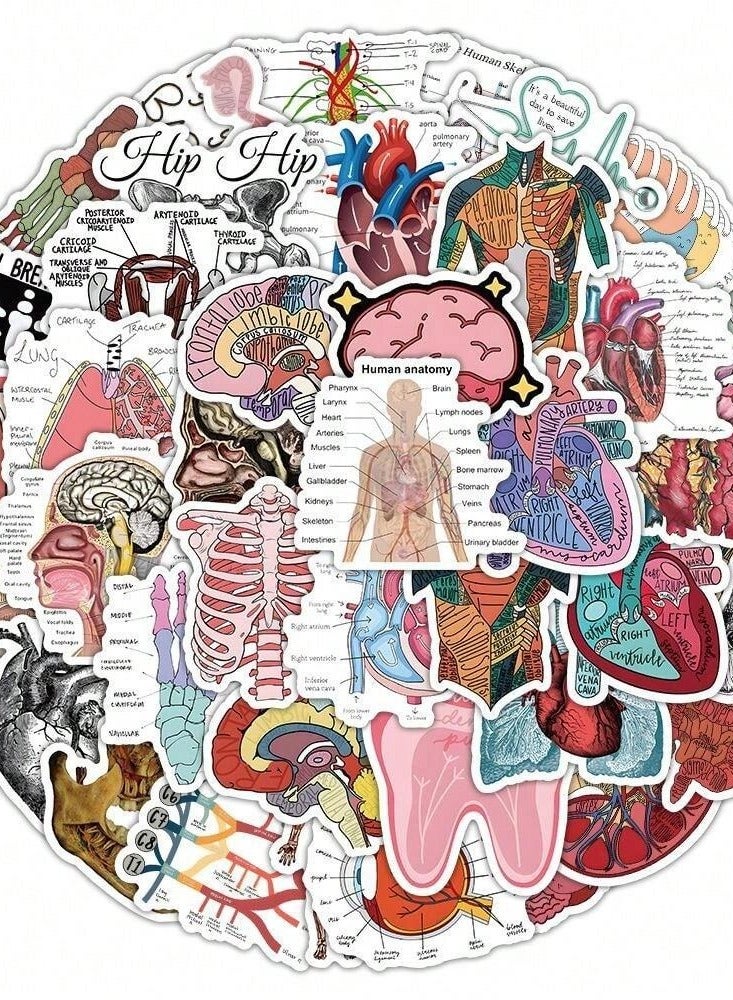 Anatomical Educational Sticker Pack - 50 Unique Designs for Medical Students - Image 5