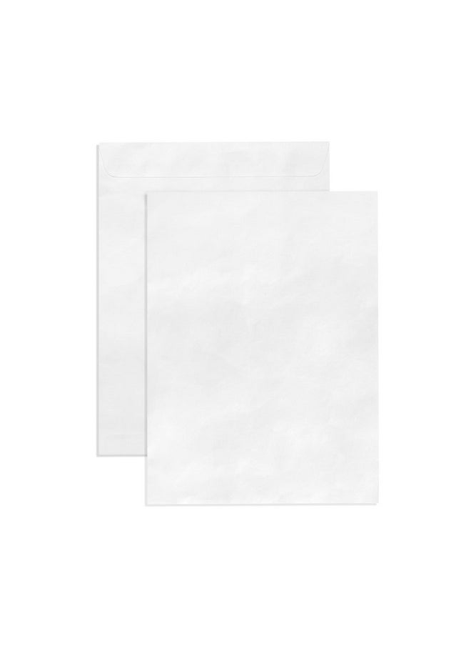 Blue Summit Supplies 100 9X12 Tyvek Envelopes Self Seal 9 X 12 Catalog Mailer Ultra Strong 14Lb Tear Resistant Material Designed For Secure Mailing Strong Peel And Seal Flap 100 Envelopes  - Image 1