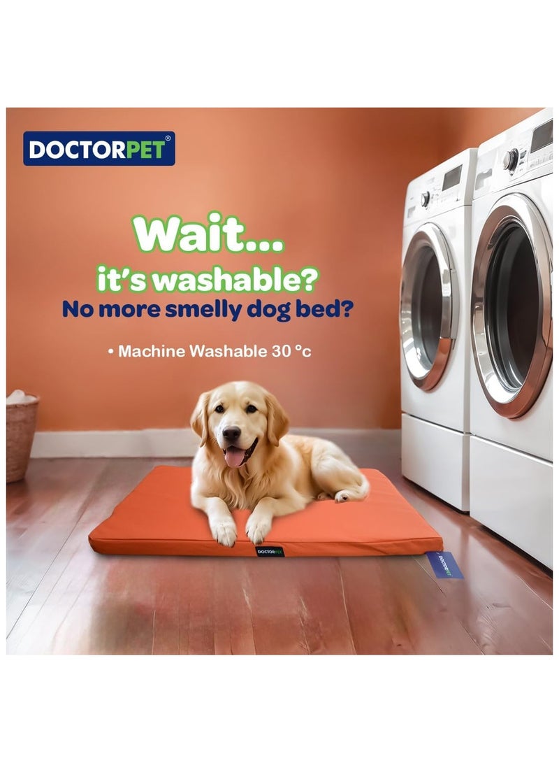 DOCTERPET Doctor Pet Gelato Series Crate Mattress X-Large - 69x107x6cm - Orange - Soft Washable Fabric, Cooling Effect, Eco-Friendly Fill, Non-Slip Base - Ideal for Large Dogs - Image 4