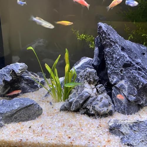FANTIAN 5 lbs Aquarium Silica Sand. 0.4-0.8 mm Mini Gravel Substrate for Fish Tank, Plants Potted, Fire Pits, Candle, Vase Filler and Crafts - Image 3