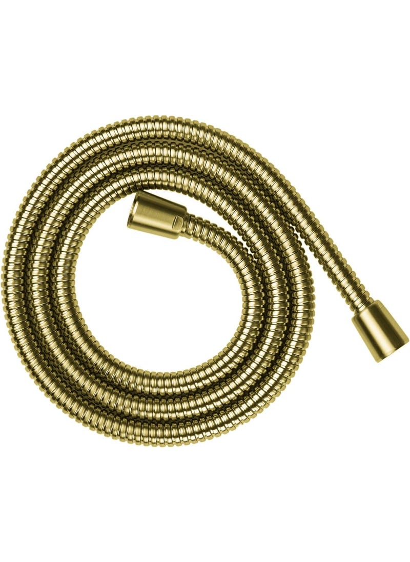 AXOR AXOR 28116250 ShowerSolutions Metal 63 in Brushed Gold Optic Handshower Hose 