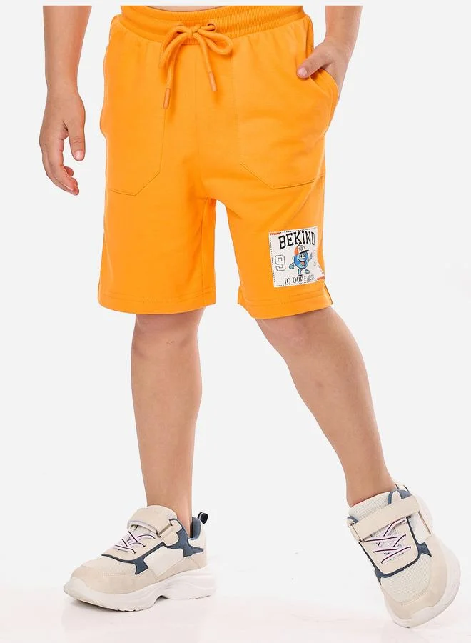 victor and jane Victor And Jane Boys Applique Graphic T-Shirt and Shorts Set