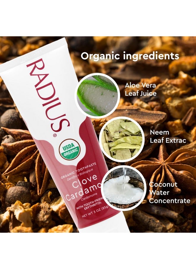 Radius - Usda Organic Gel Toothpaste, Non Toxic, Designed To Improve Gum Health And Reduce The Risk Gum Disease, Red, Clove Cardamom, 3 Ounce - Image 1