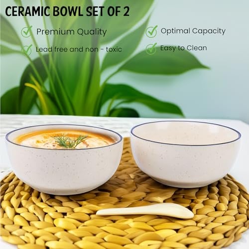 Niyara Ceramic Printed Bowl Set of 2 | Premium Serving Bowls for Snacks, Soup & Desserts | Microwave & Dishwasher Safe (White with Black Border) - Image 2