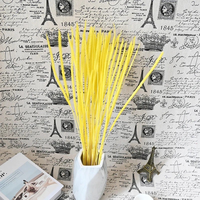 Bluejw Flower Nordic Style Dried Pampas Grass Decorative Reeds – Natural Small Dried Plants for Wedding & Home Decoration - Image 3
