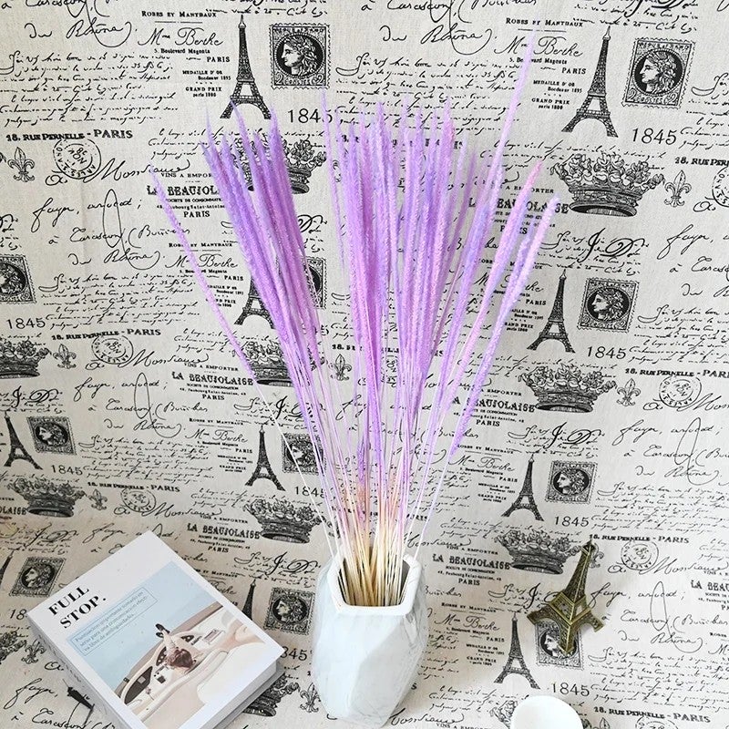 Bluejw Flower Nordic Style Dried Pampas Grass Decorative Reeds – Natural Small Dried Plants for Wedding & Home Decoration - Image 2