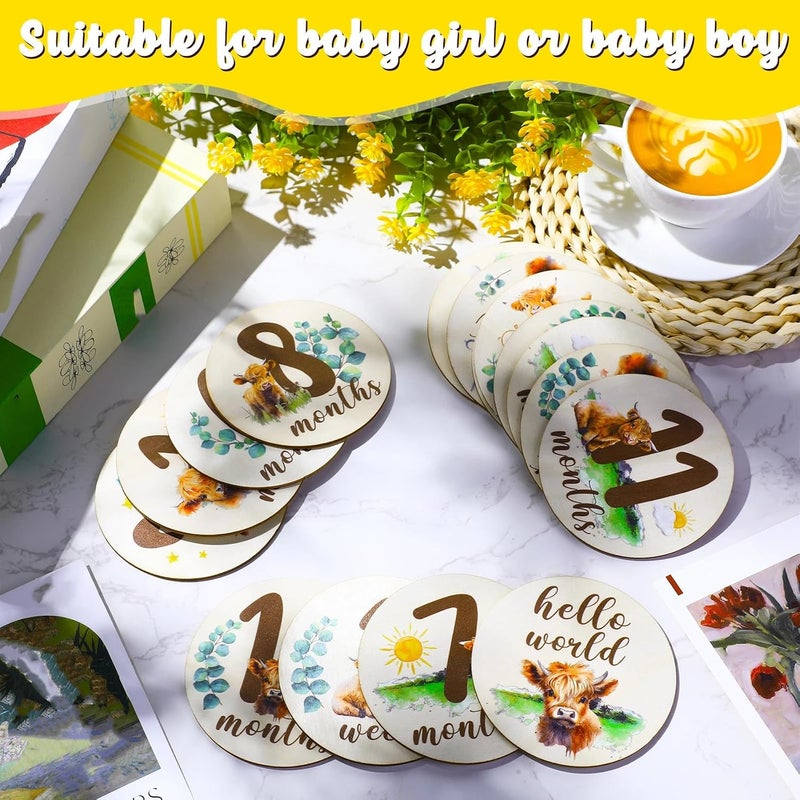 Al Raied ARS® 16 Pieces Wooden Baby Monthly Milestone Cards - Double Sided Milestone Marker Discs for Newborn Photo Props - Image 4