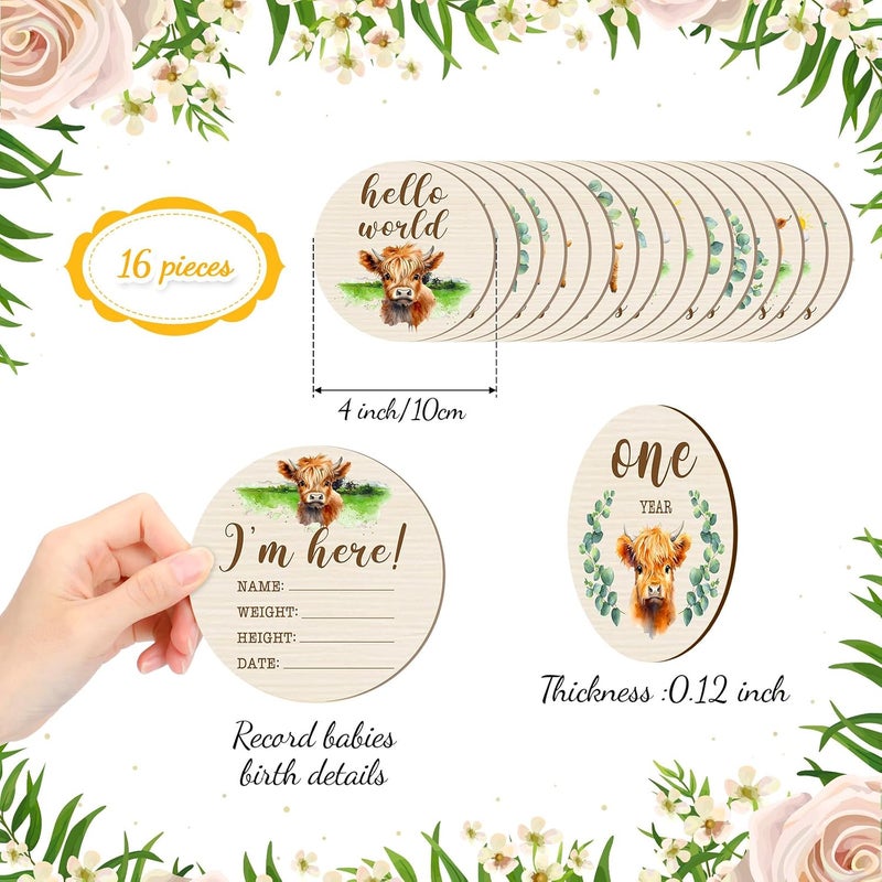 Al Raied ARS® 16 Pieces Wooden Baby Monthly Milestone Cards - Double Sided Milestone Marker Discs for Newborn Photo Props - Image 3