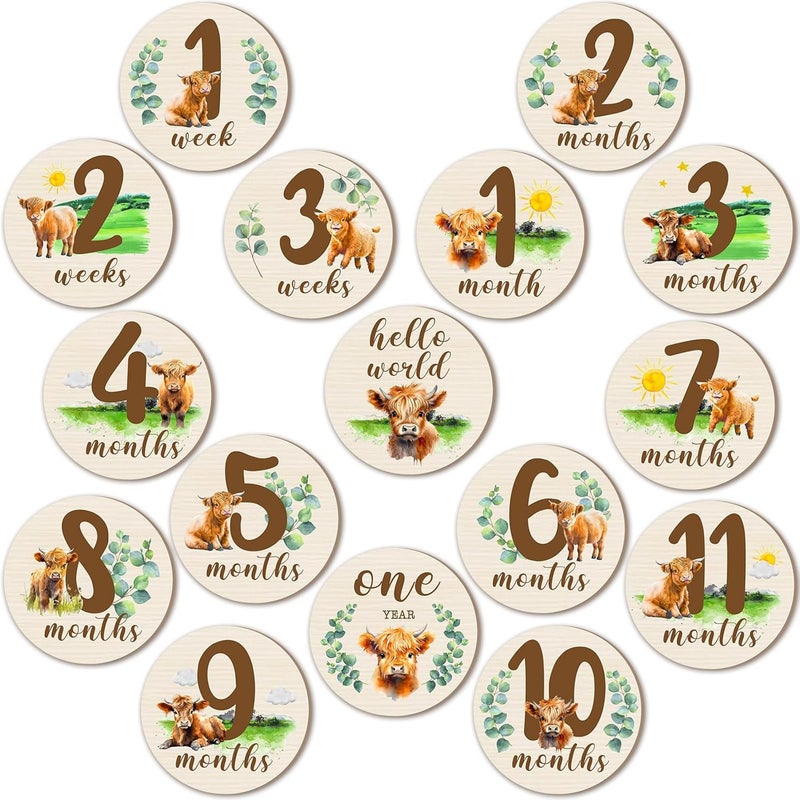 Al Raied ARS® 16 Pieces Wooden Baby Monthly Milestone Cards - Double Sided Milestone Marker Discs for Newborn Photo Props - Image 1