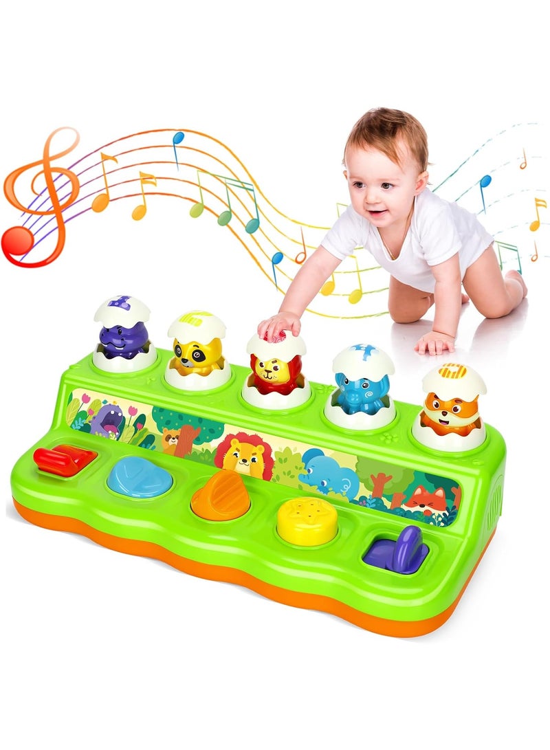 فايف ستار ألعاب تفاعلية منبثقة للأولاد والبنات بعمر سنة واحدة، ألعاب السبب والنتيجة من مونتيسوري مع الموسيقى والضوء، ألعاب موسيقية للتعلم المبكر للأطفال الصغار من سن 1 إلى 3 سنوات، هدية للرضع من سن 9 إلى 12 إلى 18 شهرًا - Image 1