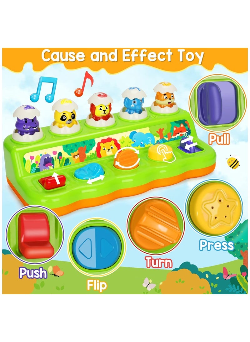 فايف ستار ألعاب تفاعلية منبثقة للأولاد والبنات بعمر سنة واحدة، ألعاب السبب والنتيجة من مونتيسوري مع الموسيقى والضوء، ألعاب موسيقية للتعلم المبكر للأطفال الصغار من سن 1 إلى 3 سنوات، هدية للرضع من سن 9 إلى 12 إلى 18 شهرًا - Image 2
