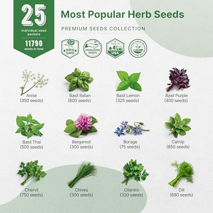 Organo Republic 25 Most Popular Herb Seeds Variety Pack 11,700 Non-Gmo Heirloom Seeds For Planting Herbs In Individual Seed Packets For Hydroponic, Indoor & Outdoor Gardening - Image 3