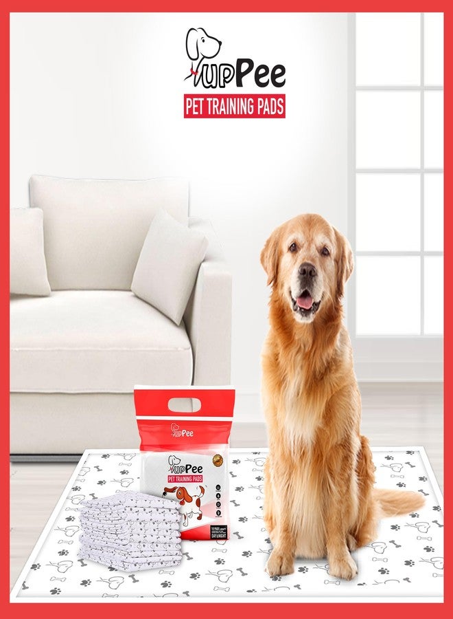 PUPPEE فوط تدريب الحيوانات الأليفة PUPPEE للكلاب والقطط والجراء والحيوانات الأليفة، فوط فائقة الامتصاص للبول | مدرب على التبول والتبرز | فوط تدريب على استخدام المرحاض، مدرب على استخدام المرحاض للحيوانات الأليفة والجراء | مقاومة للماء بنسبة 100% وغير قابلة للانزلاق - 60 × 45 سم (متوسط) - 10 قطع - Image 2