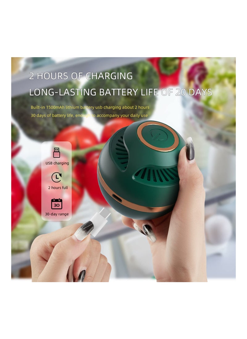 SYOSI - USB Fridge Deodorizer, Rechargeable Refrigerator Reusable Deodorizer, Refrigerator Air Freshener, Refrigerator Odor Eliminator, Beats Baking Soda and Bamboo Charcoal Air Purifying Bag - Image 1