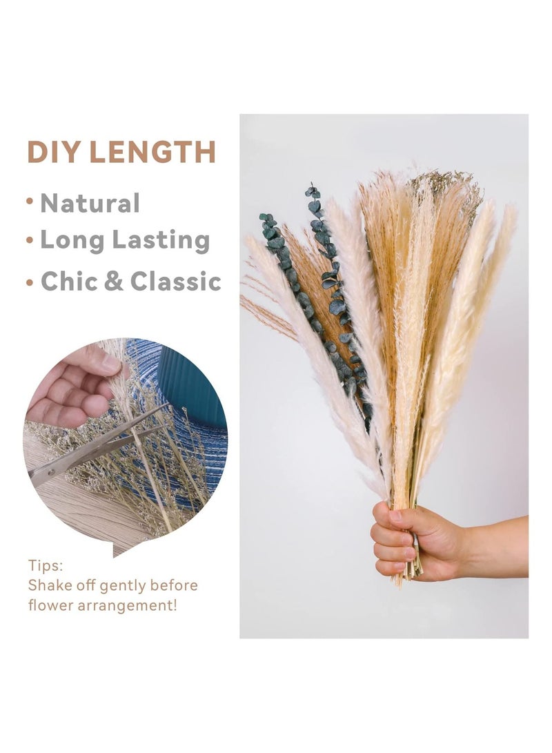 Generic Pampas Grass Dried Plants  Baytion Natural Dried Pampas Bouquets 17" Boho Home Decorative Dried Flowers for Table Vase Flower Arrangement Wedding Party Home Decorations  - Image 3