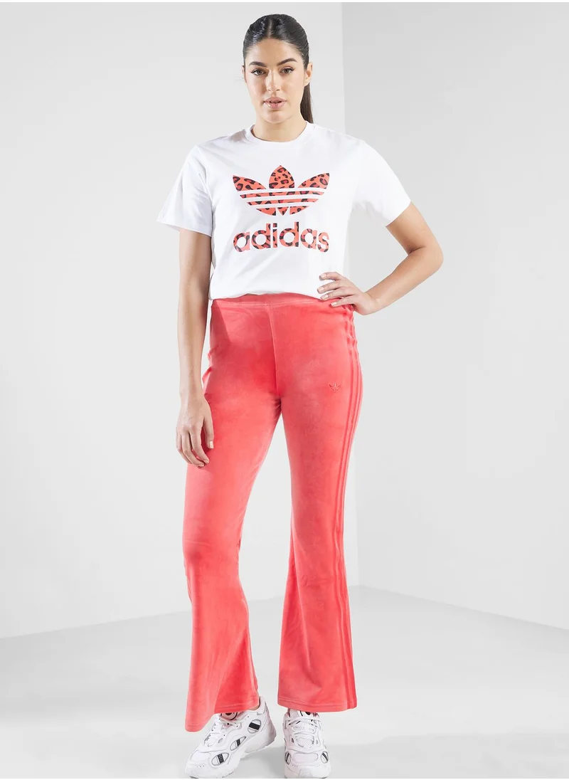 adidas Originals Velvet Flares Pants
