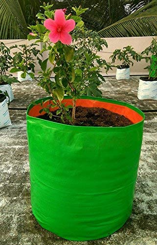 GroWonder Plant Grow Bags 18x18 inches, 230 GSM Strong, Grow Bags for Terrace Gardening, Pack of 3 - Image 3