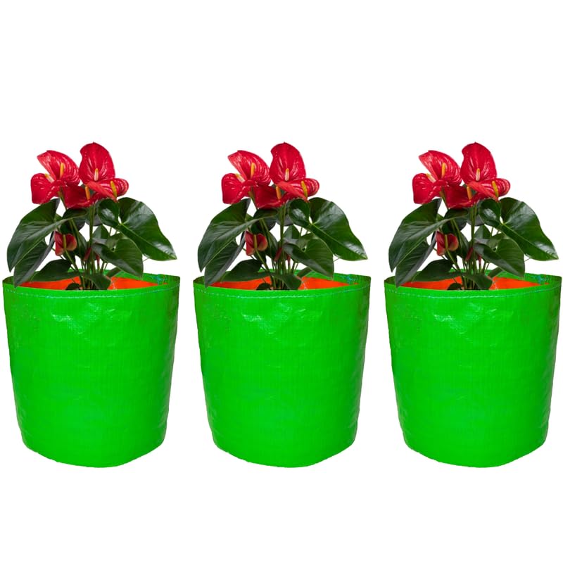 GroWonder Plant Grow Bags 18x18 inches, 230 GSM Strong, Grow Bags for Terrace Gardening, Pack of 3 - Image 1