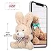 Zomiboo 12 Pcs Easter Mini Plush Bunny 32 Inch Cute Stuffed Animal Bulk Small Soft Rabbit Dolls Toys Gifts for DIY Keychain Birthday Baby Shower Wedding Party Favor Gifts Pink Apricot Gray White - Image 4