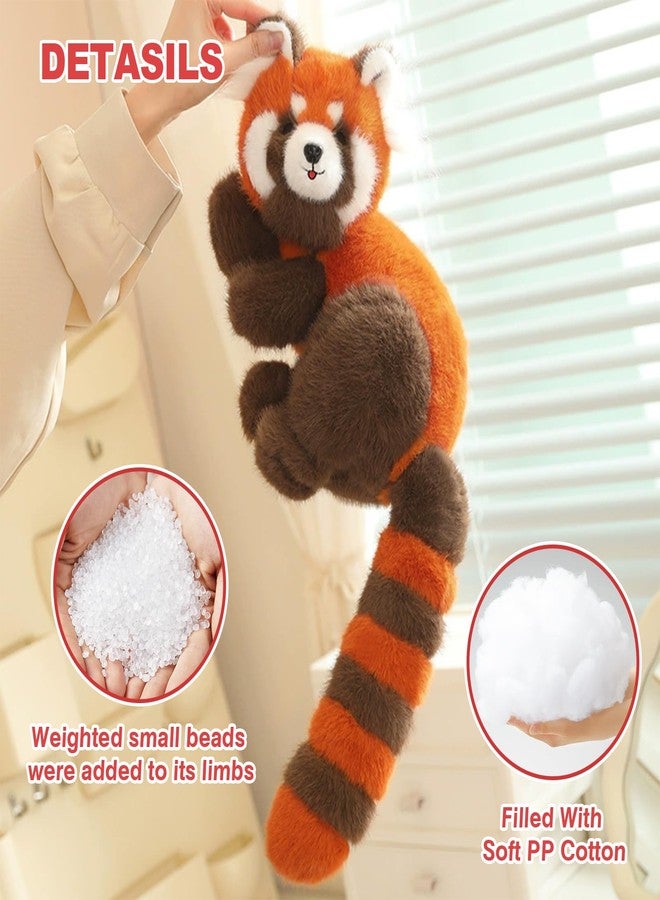 Ditucu Weighted Red Panda Stuffed Animals 0.8 lbs 11.8 inch Cute Plush Toys Soft Plushies Gifts for Kids - Image 2
