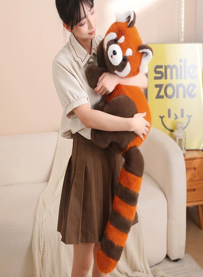 Ditucu Weighted Red Panda Stuffed Animals 0.8 lbs 11.8 inch Cute Plush Toys Soft Plushies Gifts for Kids - Image 5