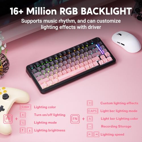 MAMBASNAKE ATTACK SHARK M86 82 Keys Wireless Mechanical Keyboard, 75% Gasket Hot Swappable Custom Keyboard, Side Printed PBT Keycaps, RGB Backlit, Pre-lubed Switches, BT/2.4GHz/ Wired Mechanical Gaming Keyboard - Image 4