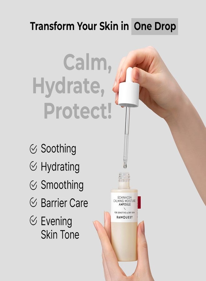 RAWQUEST Echinacea Ampoule for Instant Soothing, Deep Hydration, Improve Skin Roughness, Skin Barrier Repair, Radiant Glow & Brightening w/Hyaluronic Acid & Niacinamide for Dry Sensitive Skin 1.7 Fl oz/50 ml - Image 2
