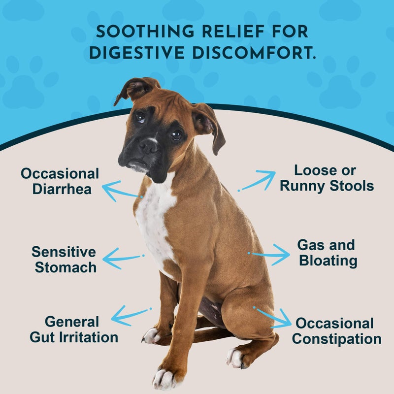 Animal Essentials Slippery Elm - Slippery Elm Bark Anti Diarrhea Drops for Dogs and Cats, Organic Herbal Extract for Healthy Gut, Digestive & Throat Support, Helps Acid Reflux, Liquid Formula- 2 fl oz - Image 2