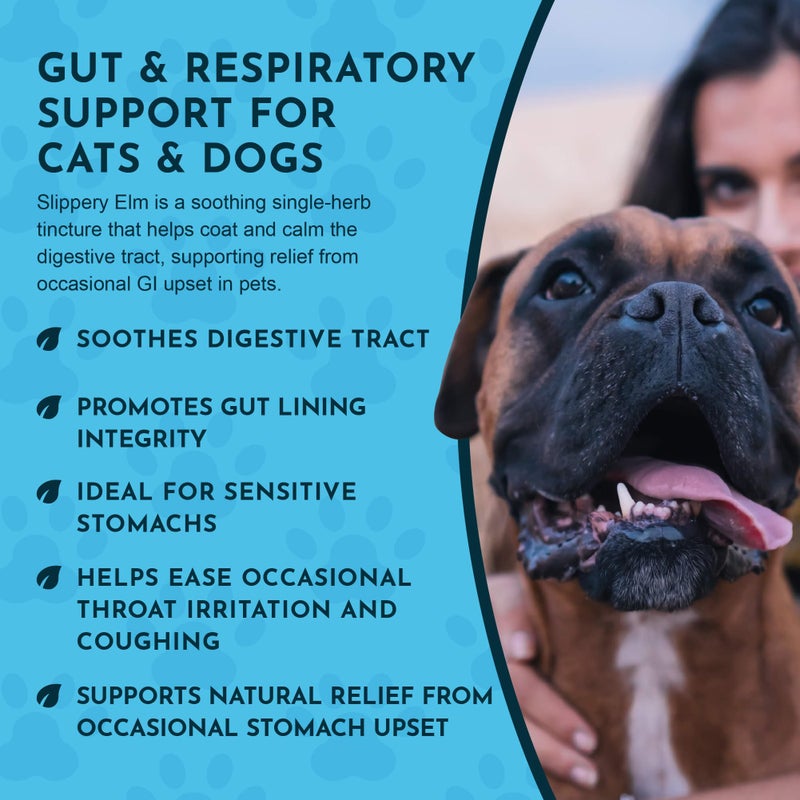 Animal Essentials Slippery Elm - Slippery Elm Bark Anti Diarrhea Drops for Dogs and Cats, Organic Herbal Extract for Healthy Gut, Digestive & Throat Support, Helps Acid Reflux, Liquid Formula- 2 fl oz - Image 5