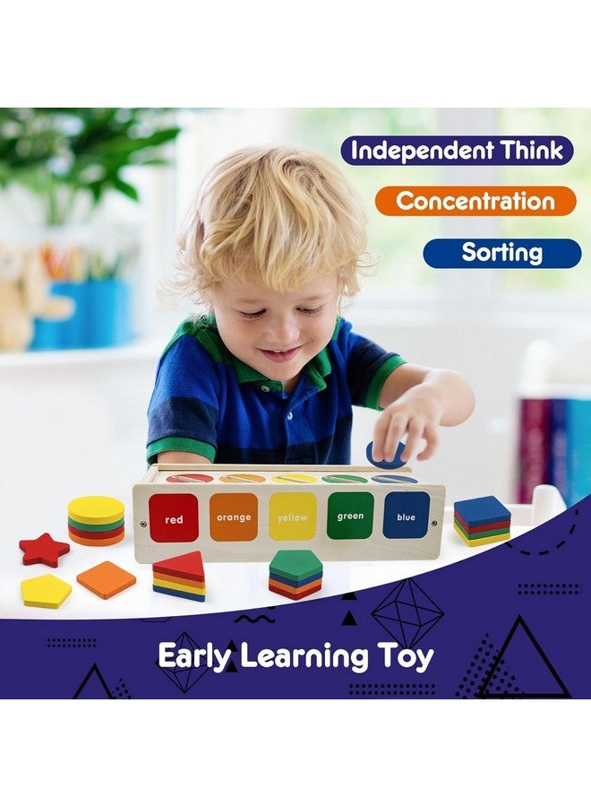 Slipps Wooden Sorting Box Montessori Color & Shape Sorter Class Activity Toddlers Fine Motor Game for Colors and Shapes Recognition, Gift for 2-5 Year Old Boys and Girls - Image 5