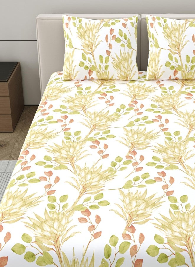 Home Ecstasy 100% Cotton Double Bedsheet with 2 Pillow Covers - (Size 87 x 94 inches, 140 TC, Colour - Multi: Tangerine) - Image 3