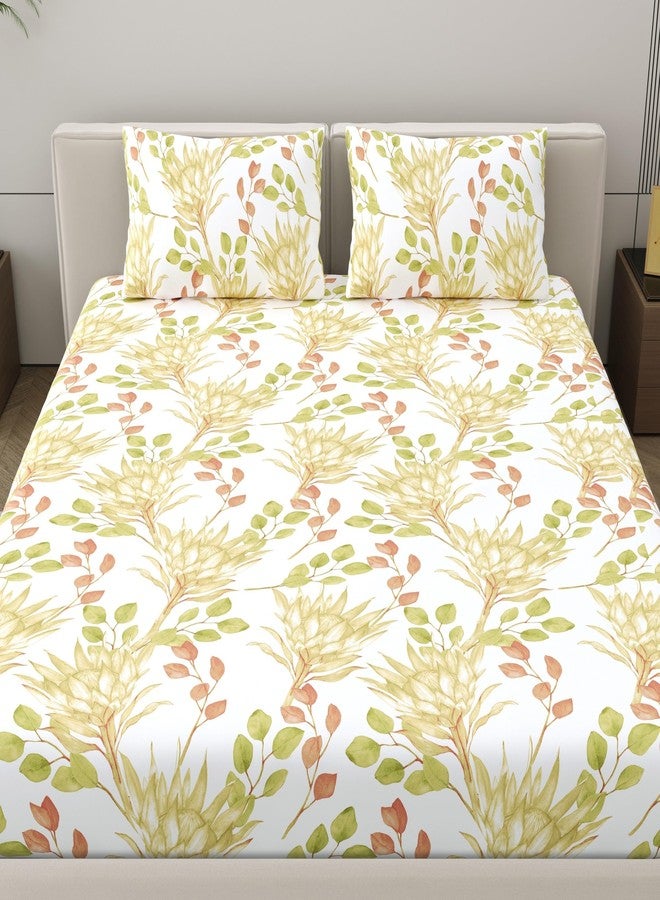 Home Ecstasy 100% Cotton Double Bedsheet with 2 Pillow Covers - (Size 87 x 94 inches, 140 TC, Colour - Multi: Tangerine) - Image 2
