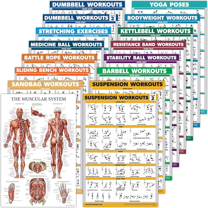 Palace Learning 16 Pack - Exercise Workout Poster Set: Dumbbell , Suspension , Kettlebell , Bands , Medicine Ball , Battle Rope , Stretching , Bodyweight , Barbell , Yoga , Exercise Ball (PAPER - NOT LAMINATED , 18" x 24" ) - Image 1