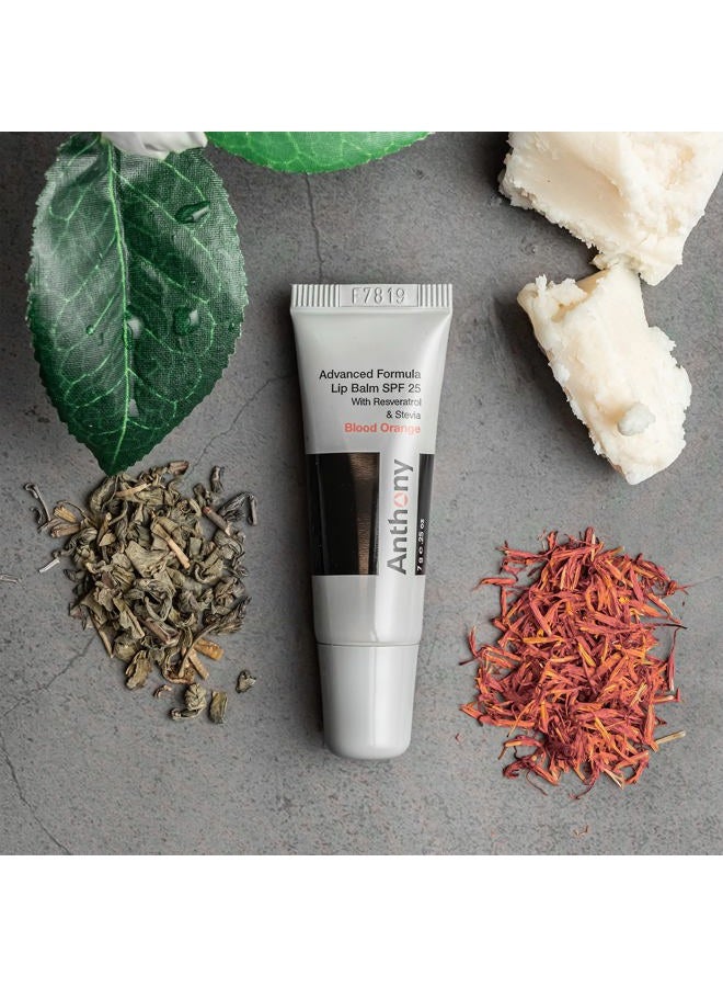 Anthony SPF 25 Lip Balm with Sunscreen, Blood Orange Flavor, Green Tea Extract, Shea Butter and Vitamin E, Moisturizing Repair Treatment for Chapped and Dry Lips, Protects and Hydrates Lips, 0.25 Oz - Image 4