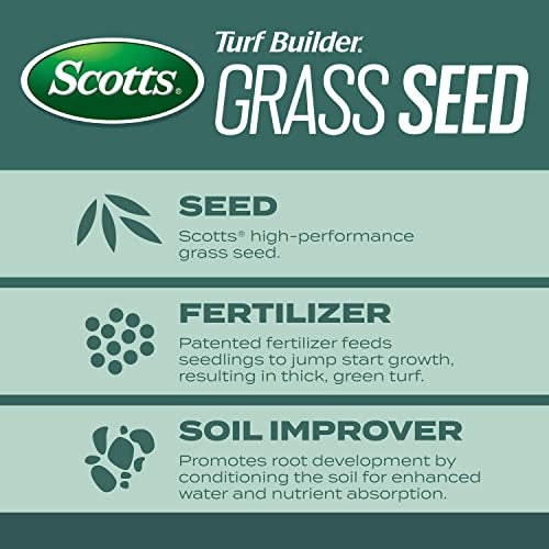 Scotts Turf Builder Grass Seed Dense Shade Mix with Fertilizer and Soil Improver, Grows With Little Sunlight, 5.6 lbs. - Image 3