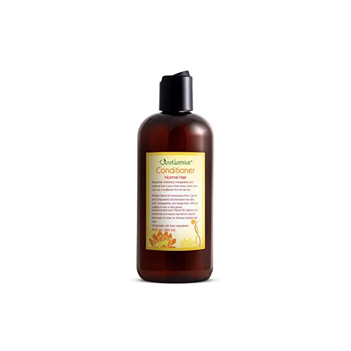 Just Nutritive Normal Hair Conditioner | The Best Conditioner for Normal Hair Types - Image 1