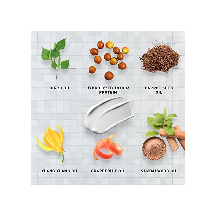 Just Nutritive Normal Hair Conditioner | The Best Conditioner for Normal Hair Types - Image 5