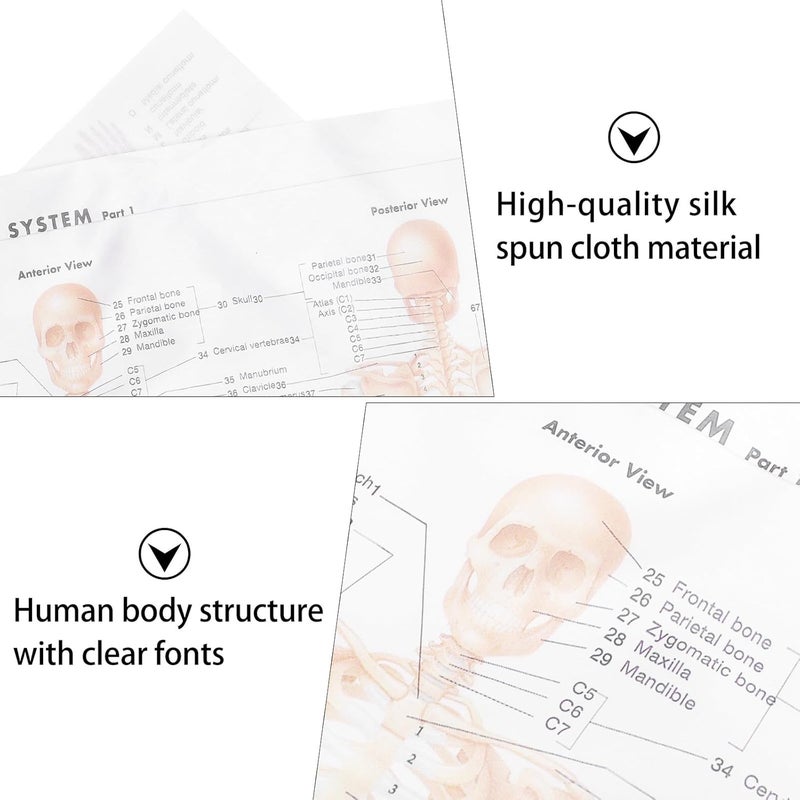 BEBEMOKO Anatomical Skeletal Muscle Poster 20x28inch (50x70cm) Silk Cloth Human Skeleton Wall Chart for Science Education Classroom Office Decoration - Image 4