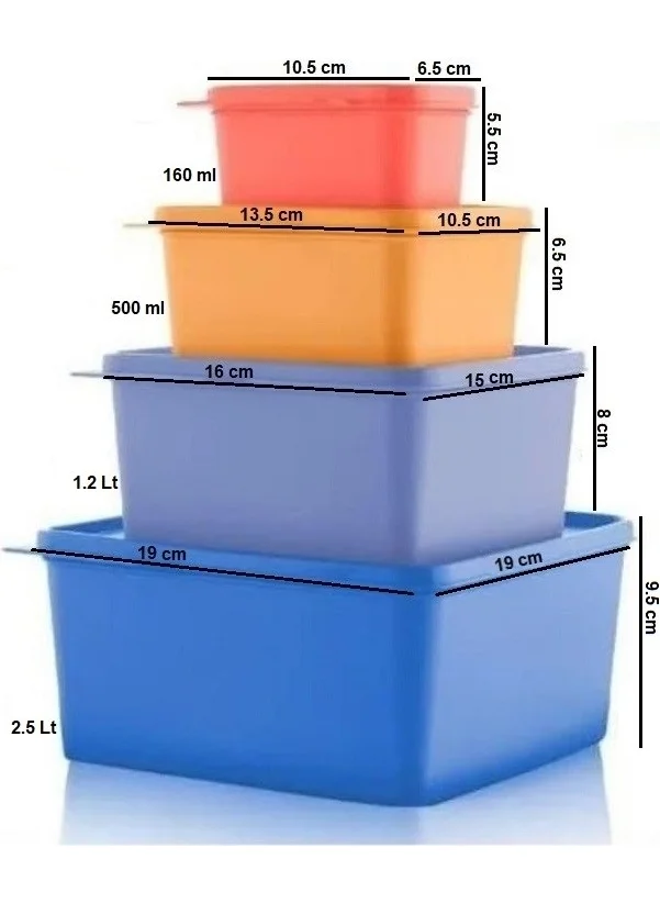 Tupperware Square Storage Container 4 Pcs Multi-Purpose Box Color Hsgl