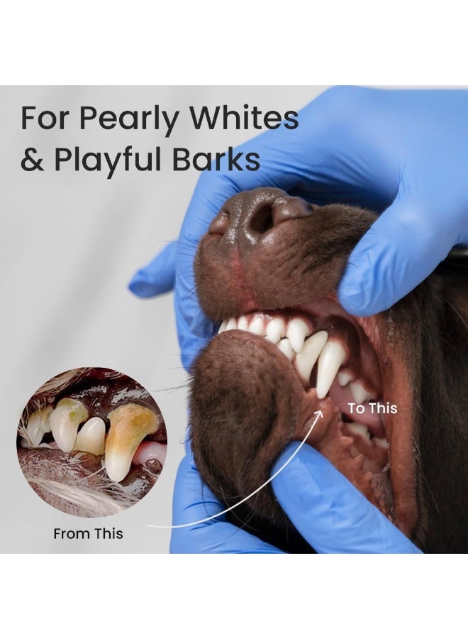 Bioline Toothpaste Beef Flavor 100g - Image 3