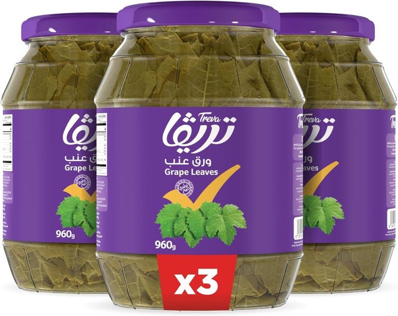 Treva Grape Leaves, 960 g - Pack of 3 - Image 1