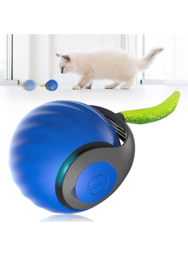 KADRAMA New Interactive Cat Toy - Indoor Interactive Teasing Cat Ball, Two Speed Adjustment, USB Rechargeable Smart Automatic Rolling Pet Ball Protruding Ball With Tail for Indoor Cats (Blue) - Image 1