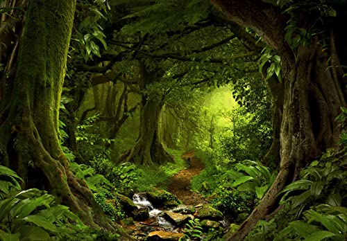 Bormia Fantasy Forest Wall Mural 151x105 Large Photo Wallpaper Landscape Wall Decal for Livingroom Bedroom Paste Not Included - Image 3