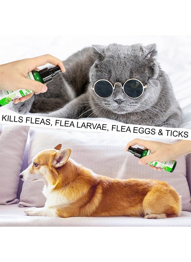 Elaimei Flea & Tick Spray Pet Skin Spray for Cat and Dog 100ML, Tick Plant Spray For External  - Image 2