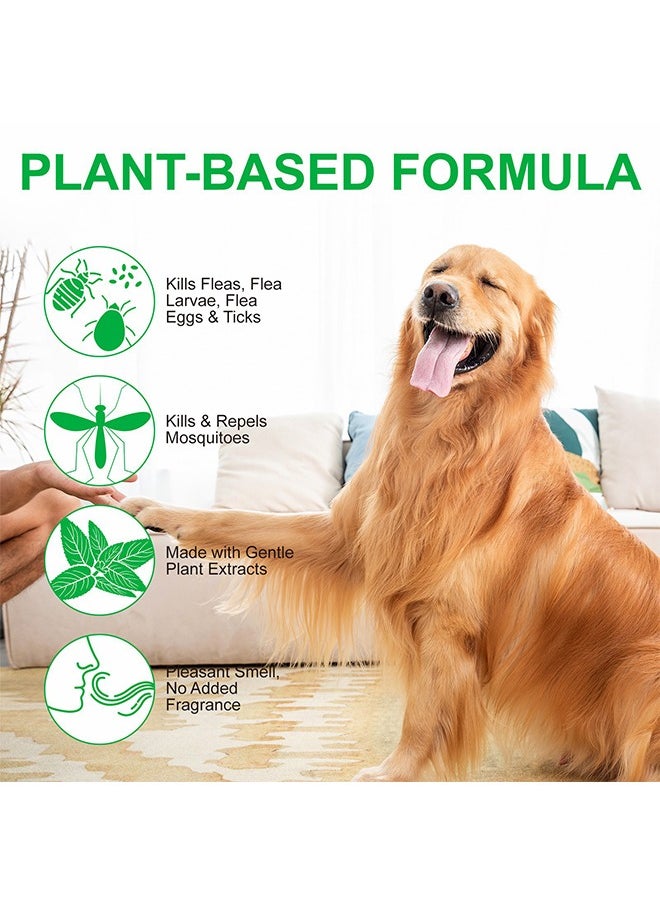 Elaimei Flea & Tick Spray Pet Skin Spray for Cat and Dog 100ML, Tick Plant Spray For External  - Image 4