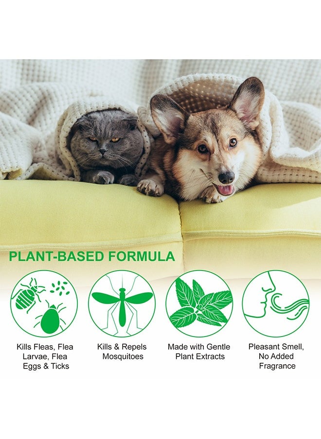 Elaimei Flea & Tick Spray Pet Skin Spray for Cat and Dog 100ML, Tick Plant Spray For External  - Image 5
