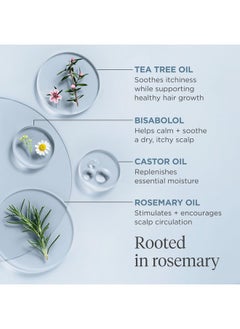 Briogeo Briogeo Scalp Revival Rosemary Pre-Wash Oil, Hair and Scalp, Dry Scalp Treatment for Stronger and Longer Hair, Soothe Dry Scalp, Lipids and Vitamins, Deep Moisture, Vegan, Cruelty-Free, 3.4 fl oz  - Image 5