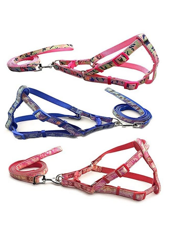 Pet Printed Ribbon Stitched 20Mm Adjustable Nylon Soft Reflective Harness And Leash Set Ideal For Playing/Training And Walking Small Dogs And Cats - Multicolor (X-Small)